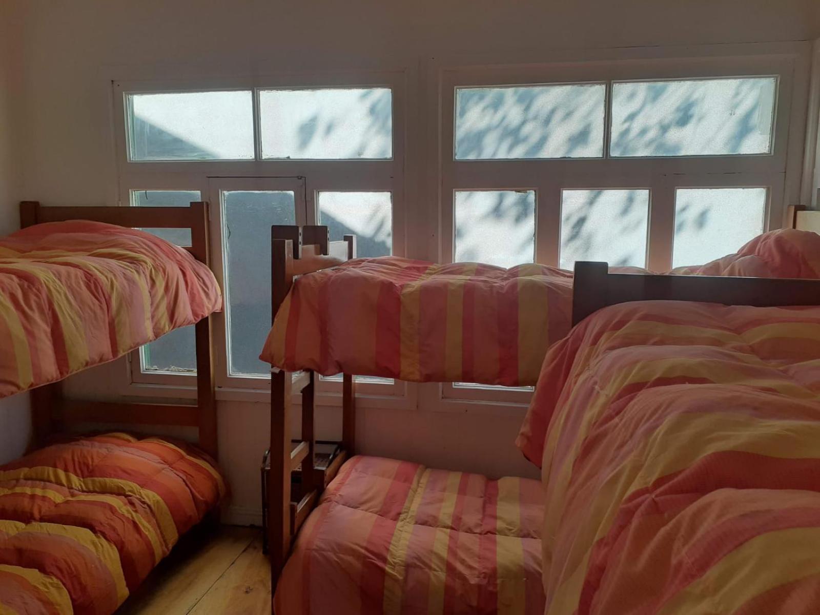 Backpackersparadise Hostel Punta Arenas Extérieur photo